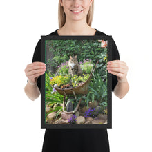 Load image into Gallery viewer, Cat in Wheel barrel Framed poster