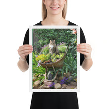 Load image into Gallery viewer, Cat in Wheel barrel Framed poster